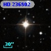 HD 236802