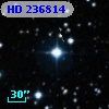 HD 236814
