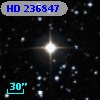 HD 236847