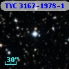 TYC 3167-1978-1