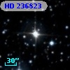 HD 236823