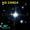 HD 236824
