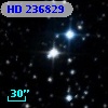HD 236829