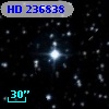 HD 236838