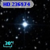 HD 236874