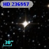 HD 236887