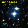 HD 236894
