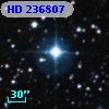 HD 236807