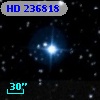 HD 236818