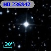 HD 236842