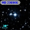 HD 236866