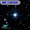 HD 236880