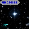 HD 236898