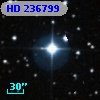 HD 236799