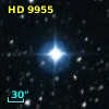 HD   9955