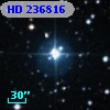 HD 236816