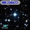 HD 236822