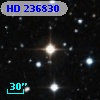 HD 236830