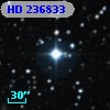 HD 236833