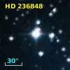 HD 236848