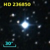 HD 236850
