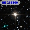 HD 236860