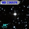 HD 236878