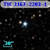 TYC 3167-2203-1
