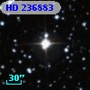 HD 236883