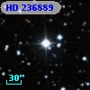 HD 236889