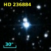 HD 236884