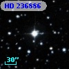 HD 236886