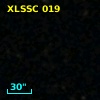 XLSSC 019