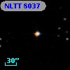 NLTT  8037