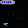 PB  9161