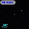 PB  9165