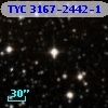 TYC 3167-2442-1