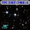 TYC 3167-2466-1