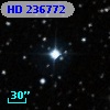 HD 236772