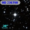 HD 236780