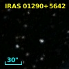 IRAS 01290+5642