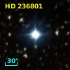 HD 236801
