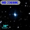 HD 236806
