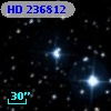HD 236812