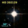 HD 202129