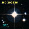 HD 202836