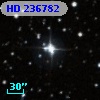 HD 236782