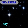 NSV 13596