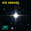 HD 206446