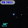 PB  7051